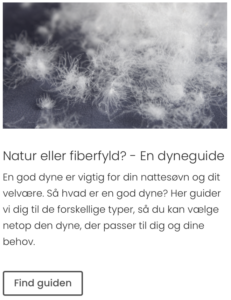 En dyneguide fra ARCTIC